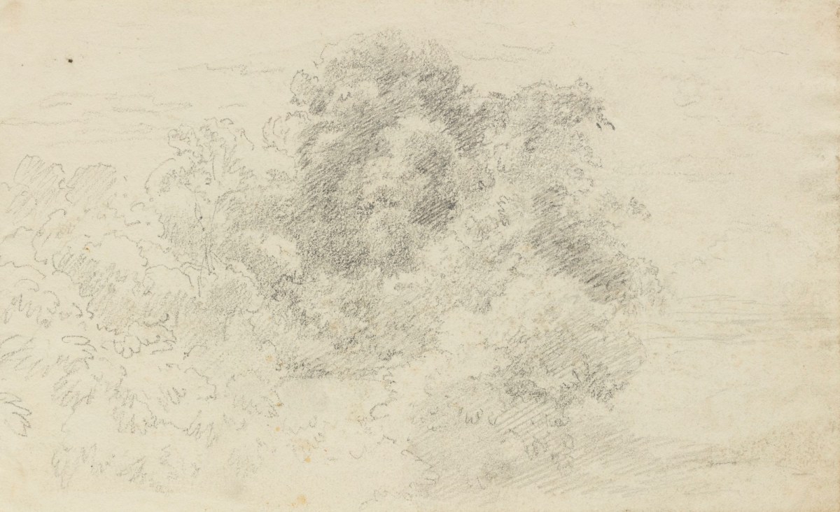 Philip Reinagle RA, Drawing of trees and shrubs
