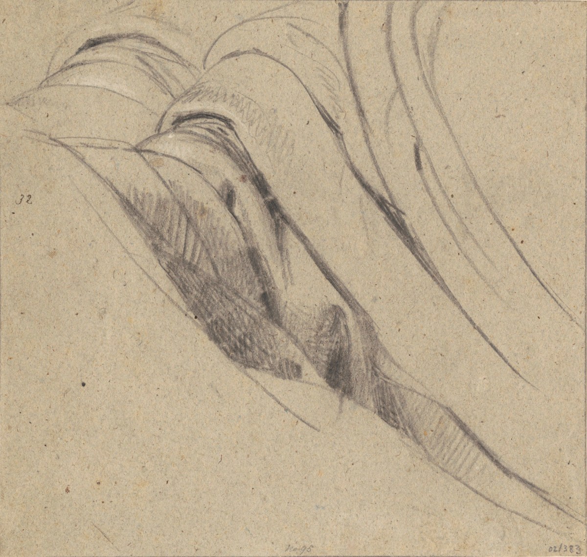 Benjamin Robert Haydon, Drapery