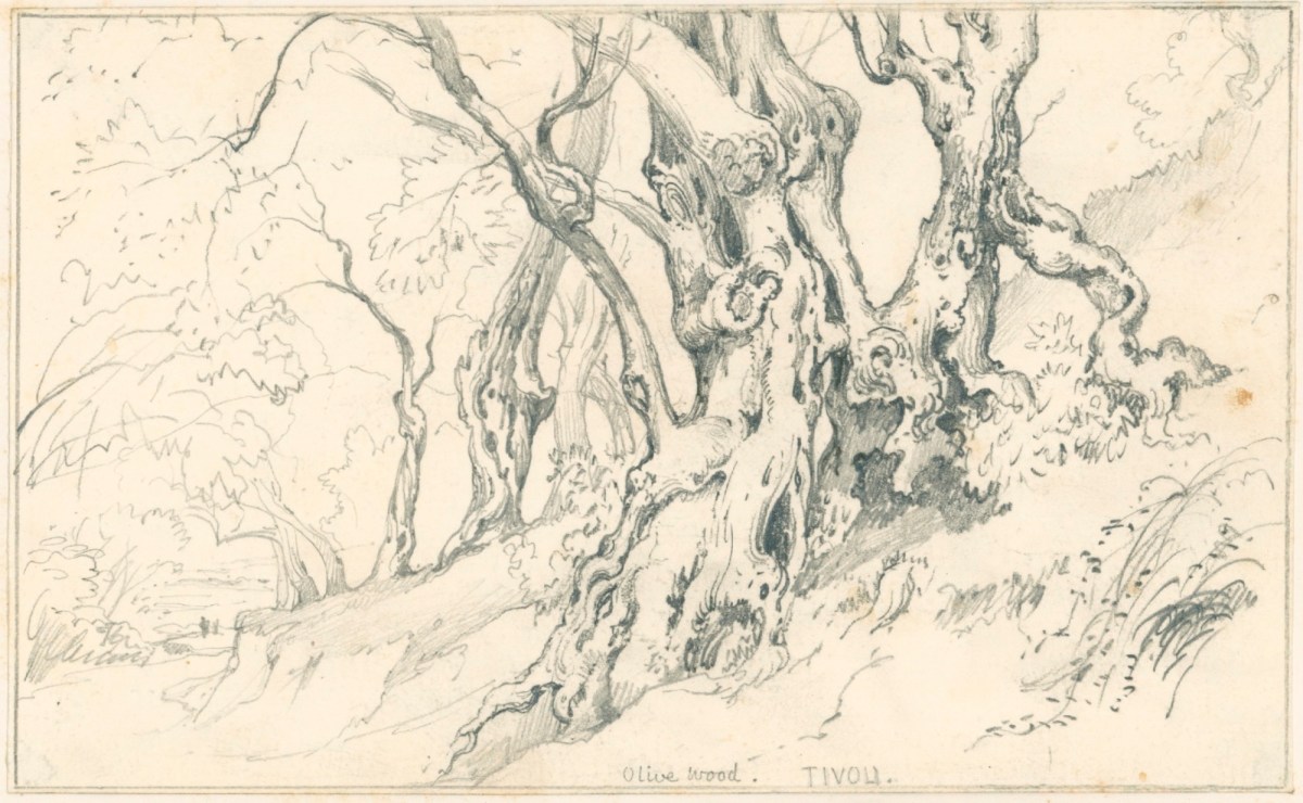 Edward William Cooke RA, Olive wood, Tivoli