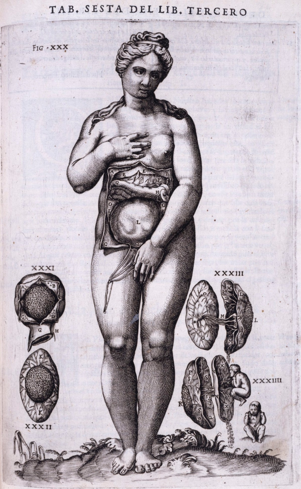 Gaspar Becerra, Historia De la composicion del cuerpo humano, escrita por Ioan de Valverde de Hamusco.