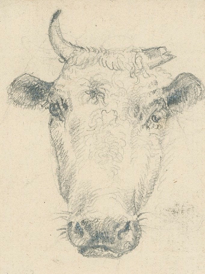 Sir Edwin Landseer RA, Head of a cow