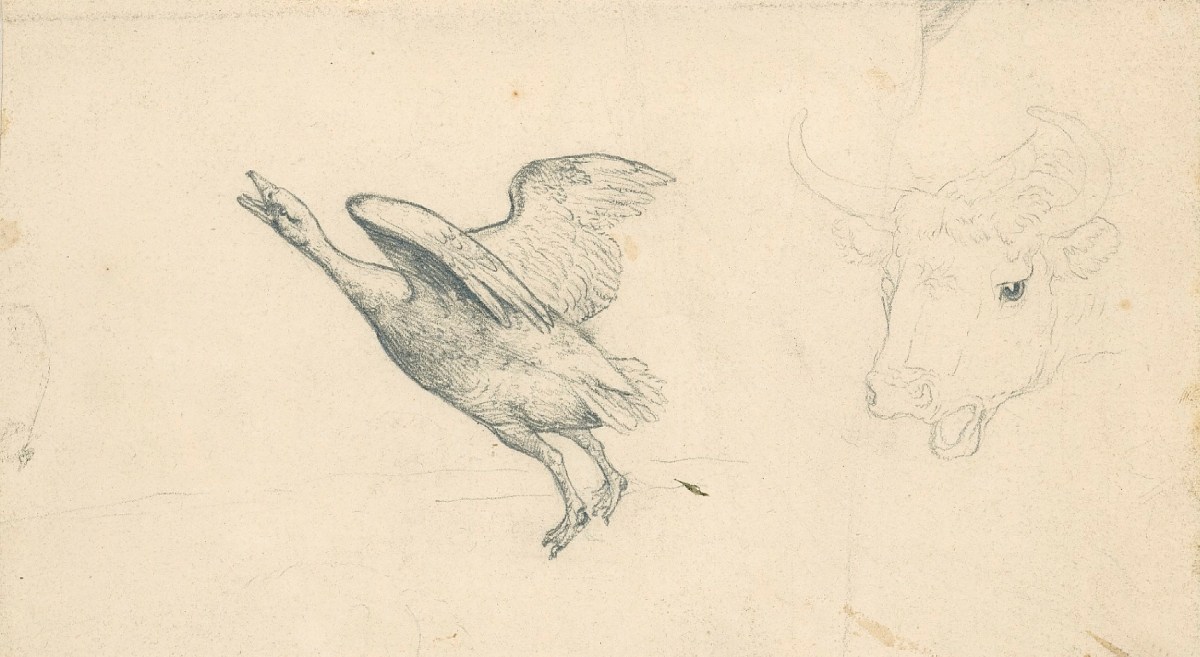 Sir Edwin Landseer RA, A bird about to take flight and a faint sketch of a bull's head