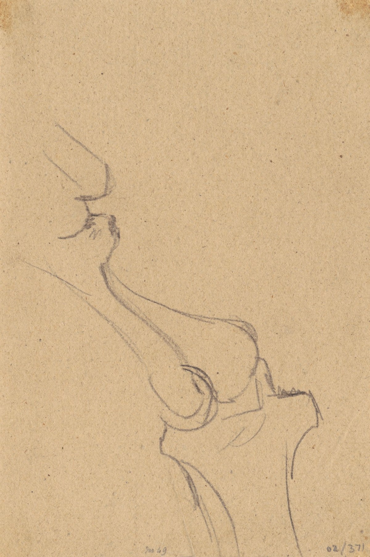 Benjamin Robert Haydon, Study of bones