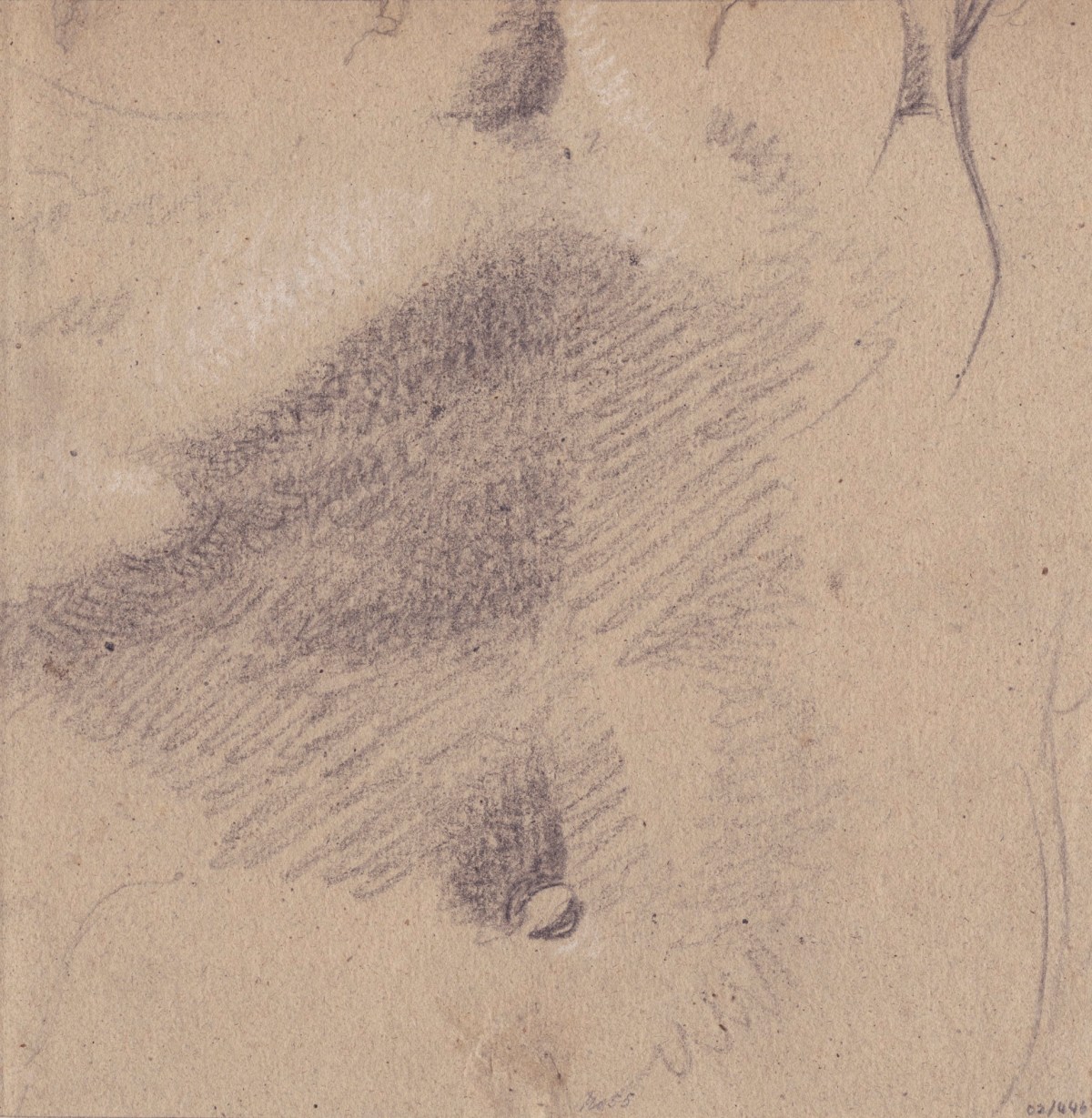 Benjamin Robert Haydon, Possibly part of a drawing from a cast or from life