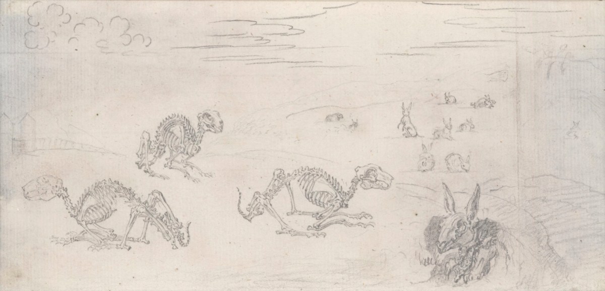 Jacob Schijnvoet, Rabbit skeletons in a landscape, for Cheselden's Osteographia
