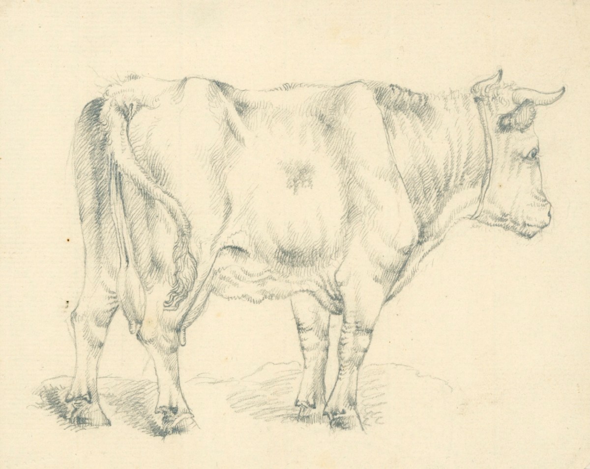 Sir Edwin Landseer RA, A cow standing in profile