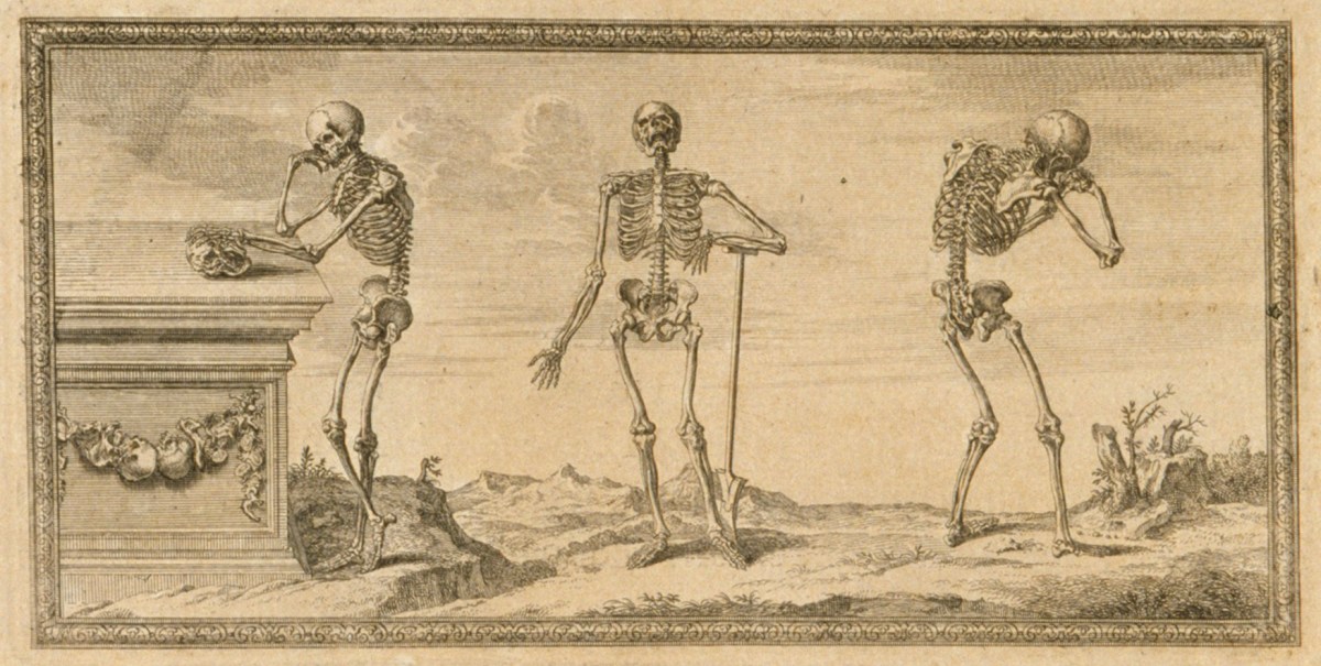 Jacob Schijnvoet, Three skeletons in attitudes copied from Vesalius