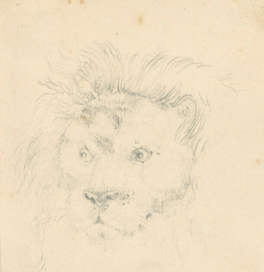 Sir Edwin Landseer RA, Head of a lion
