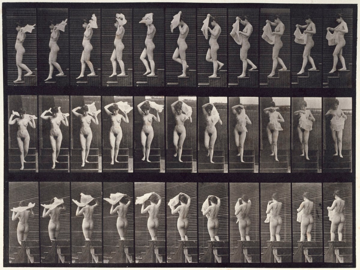 Eadweard Muybridge, Movements. Unmarried female (nude) throwing large handkerchief over her shoulders