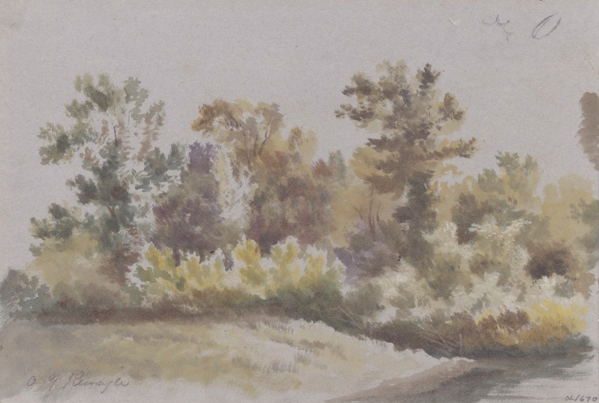 Oriana Georgiana Reinagle, Landscape with trees