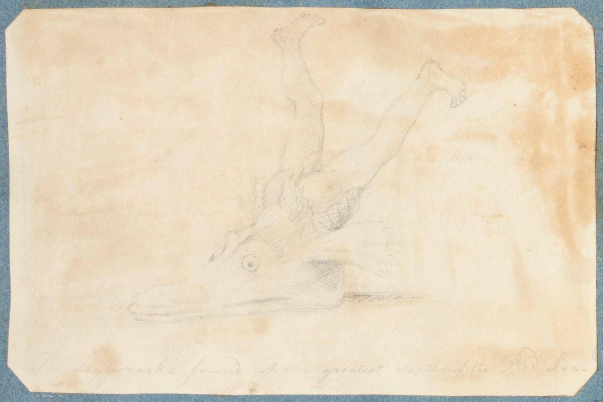 William Daniell RA, 'The Leggoroski'