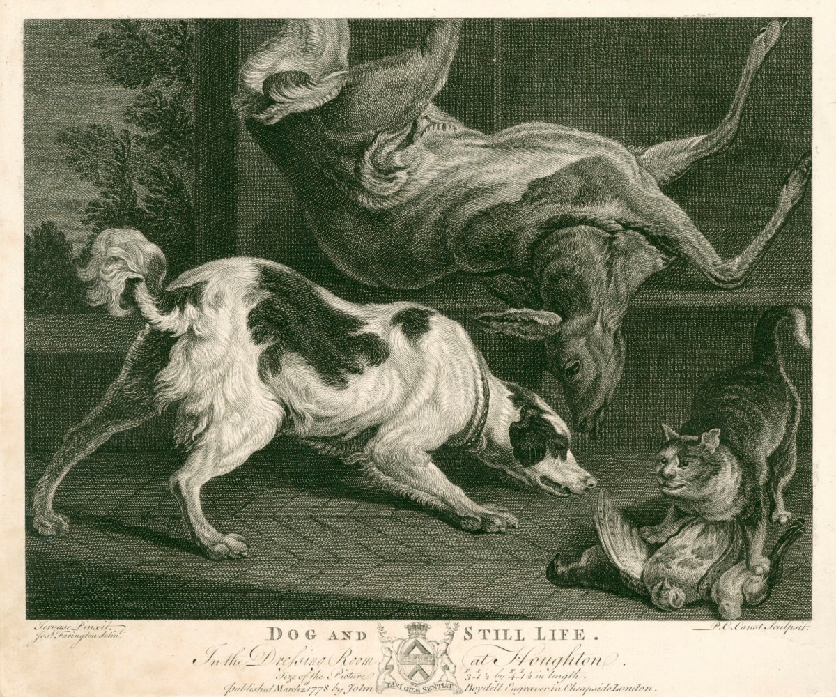, Dogs and Still Life