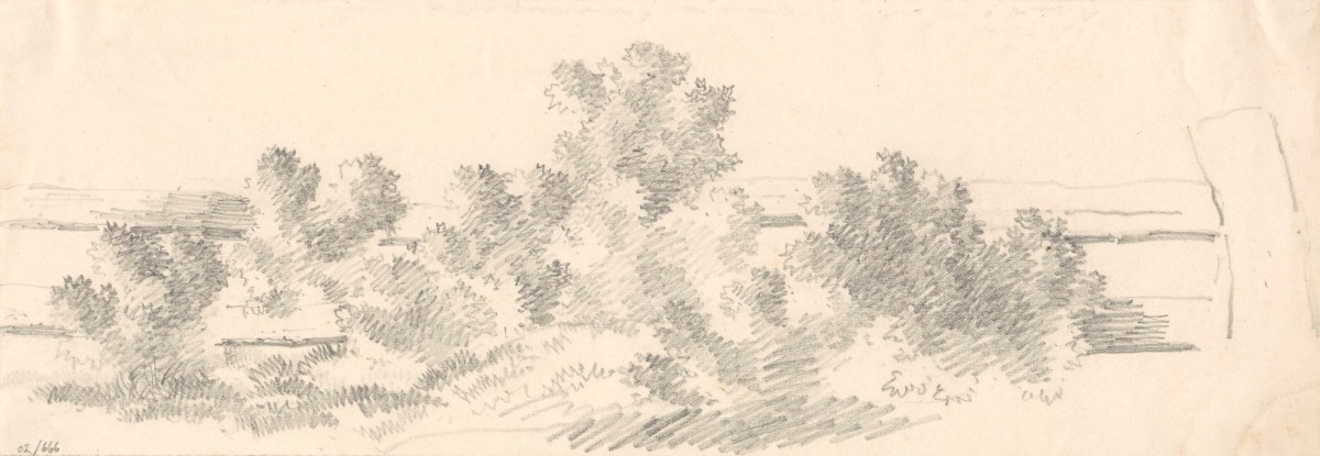 Oriana Georgiana Reinagle, A flat landscape with hedges and trees