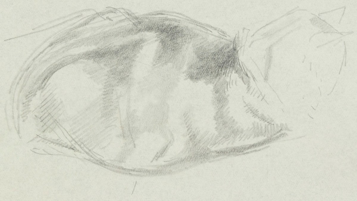 Sketch Of A Cat Works Of Art Ra Collection Royal Academy Of Arts