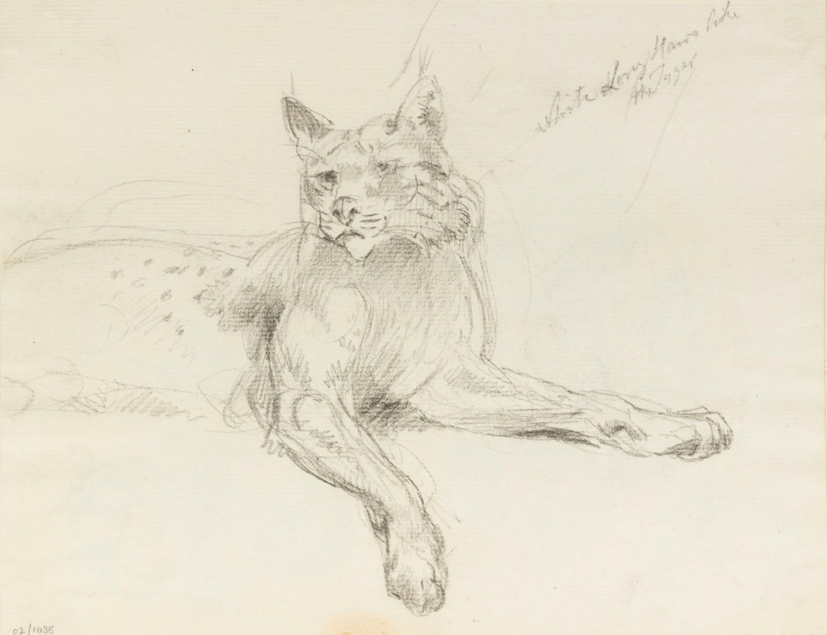 Philip Reinagle RA, Lynx