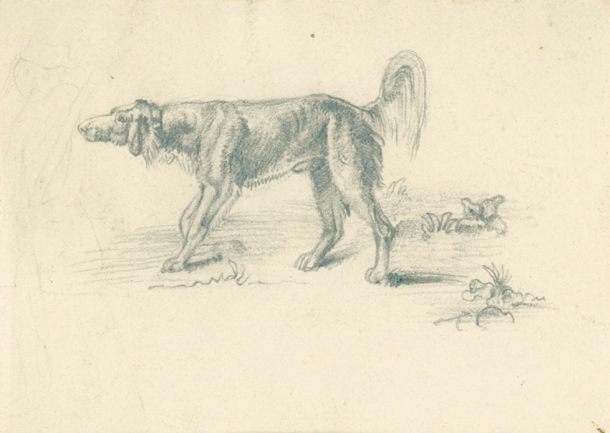 Sir Edwin Landseer RA, 'Among the Turnips'