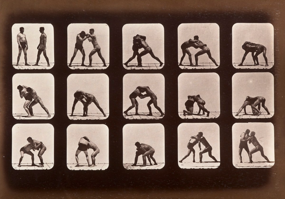Eadweard Muybridge, Athletes. Wrestling