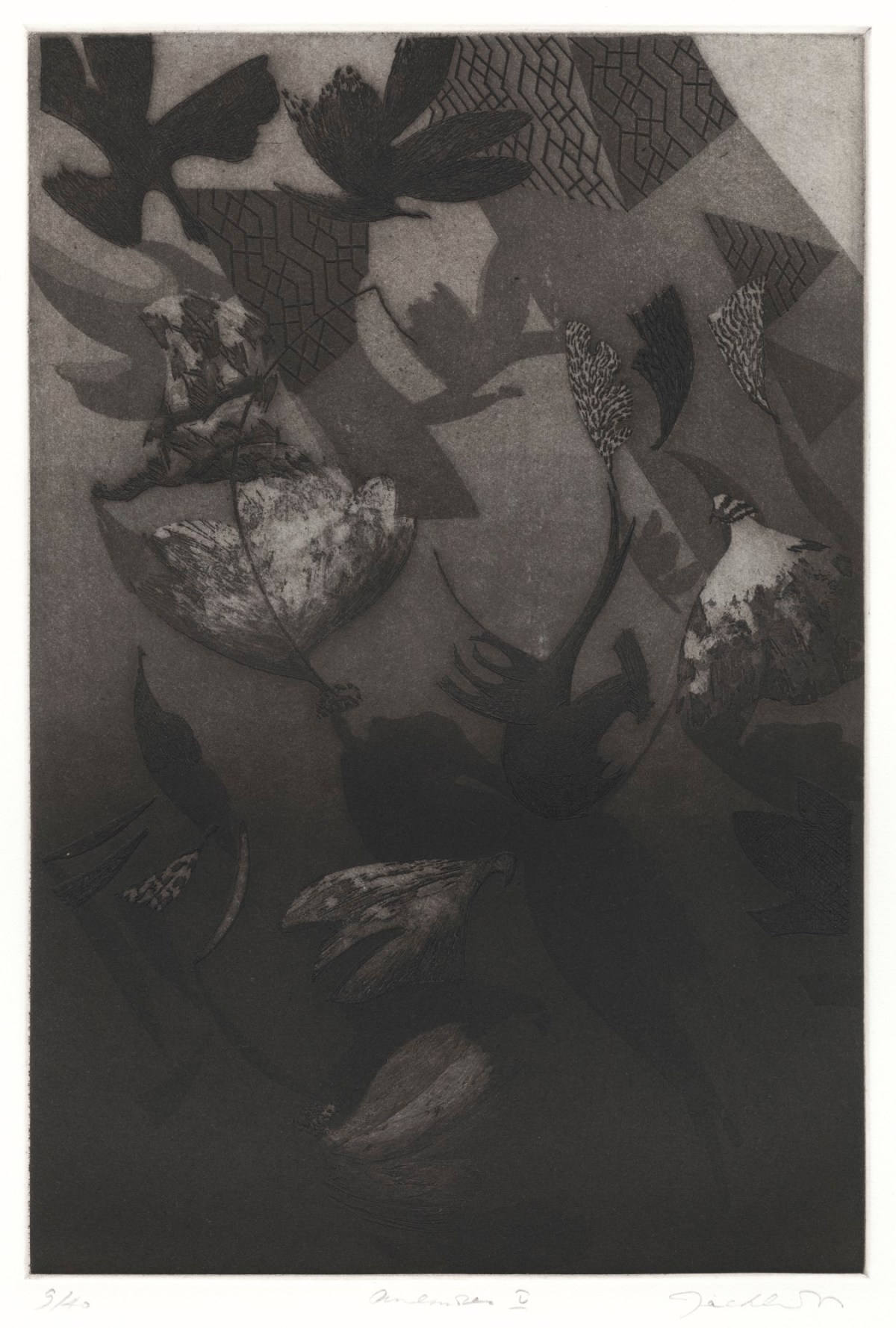 Bill Jacklin RA, Anemones V