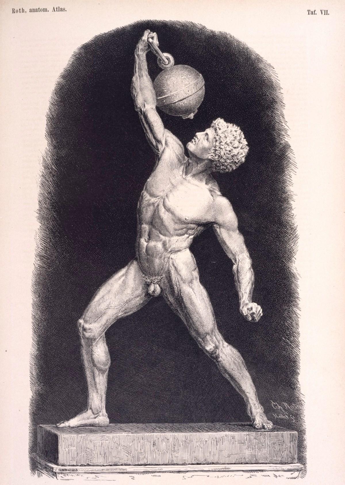 Christoph Roth, Model of a Male Athlete: lateral view