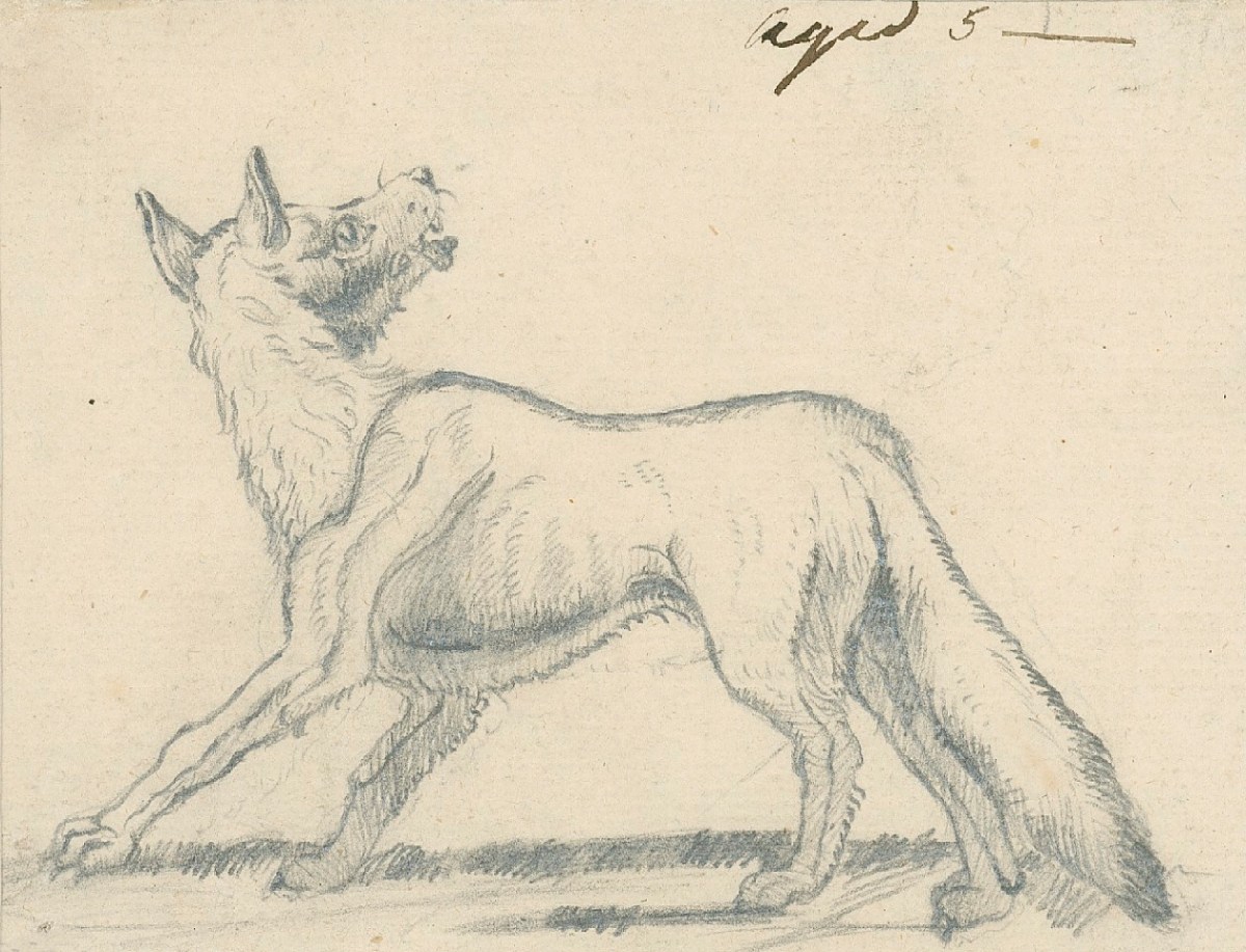 Sir Edwin Landseer RA, A fox in profile