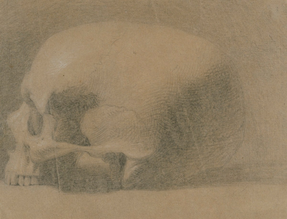 Benjamin Robert Haydon, A human skull in profile