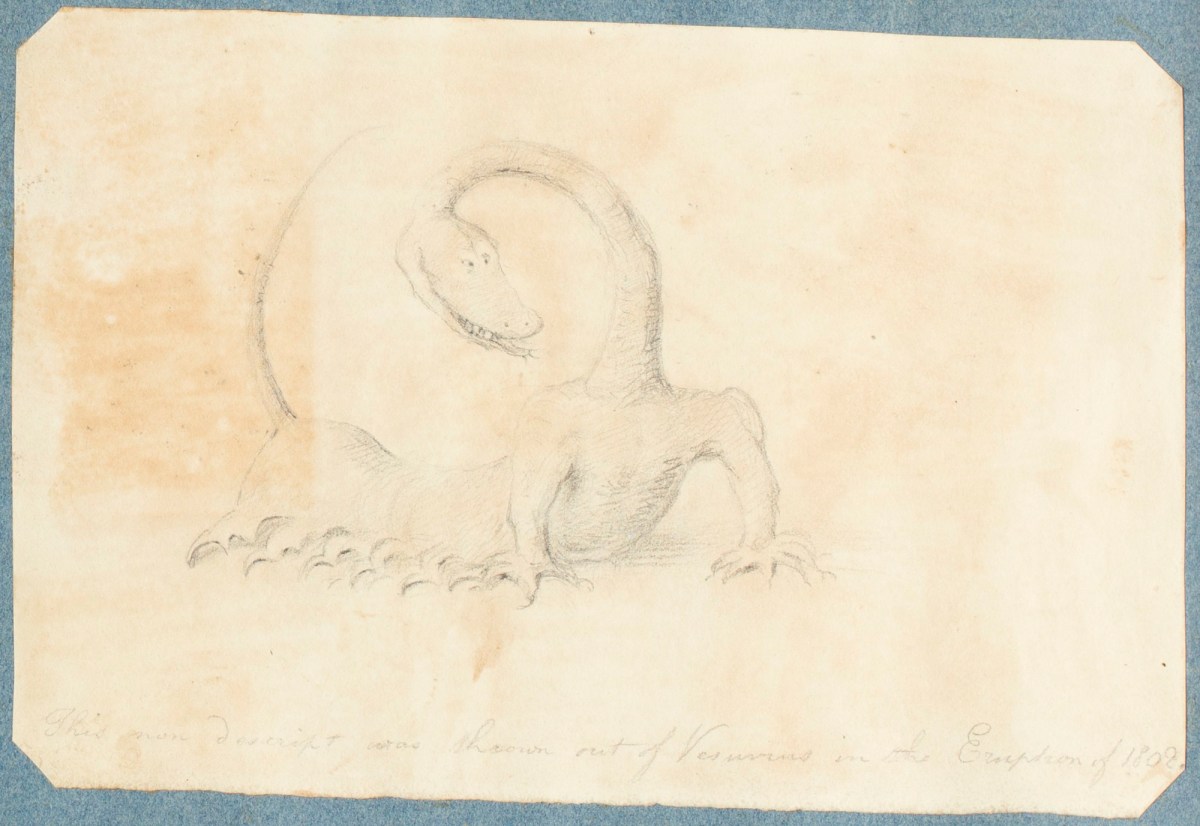 William Daniell RA, 'A Non-Descript'