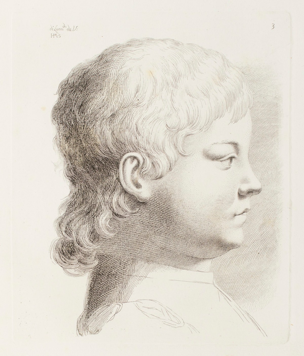 Leonardo da Vinci, Head of a Boy in Profile facing to the right (Massimiliano Sforza?)