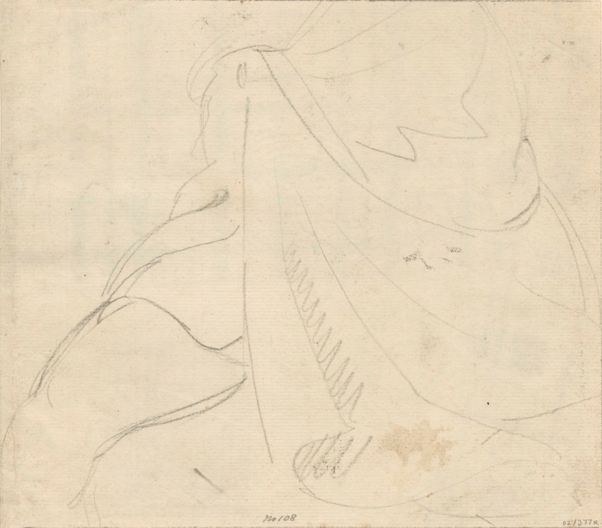 Benjamin Robert Haydon, Drapery around the waist and hips of a figure