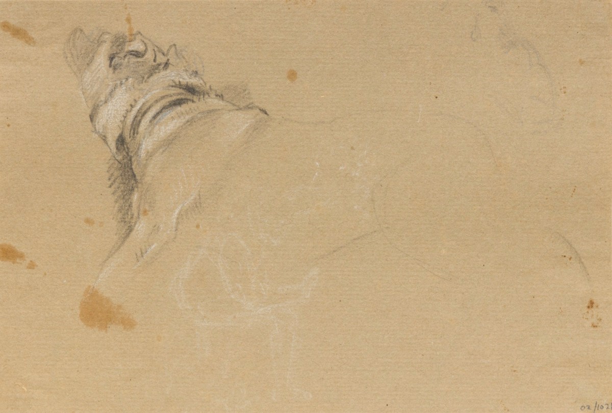 Philip Reinagle RA, A dog in profile