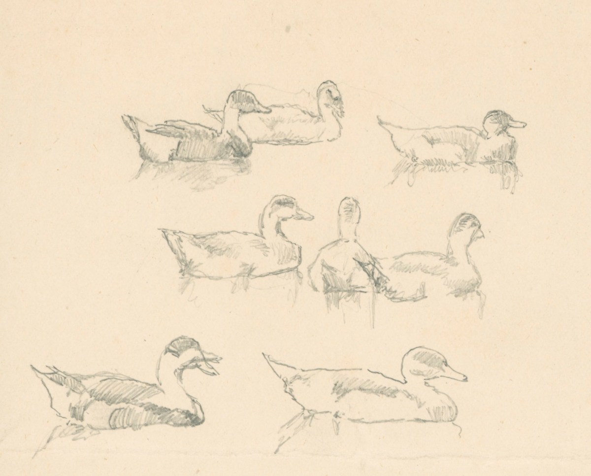 Alfred Parsons RA, Study of ducks
