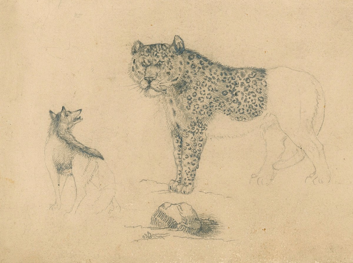 Sir Edwin Landseer RA, A leopard and a fox