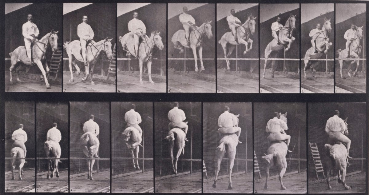 Eadweard Muybridge, Jumping a hurdle; saddle; clearing and landing; rider 105; gray mare Pandora