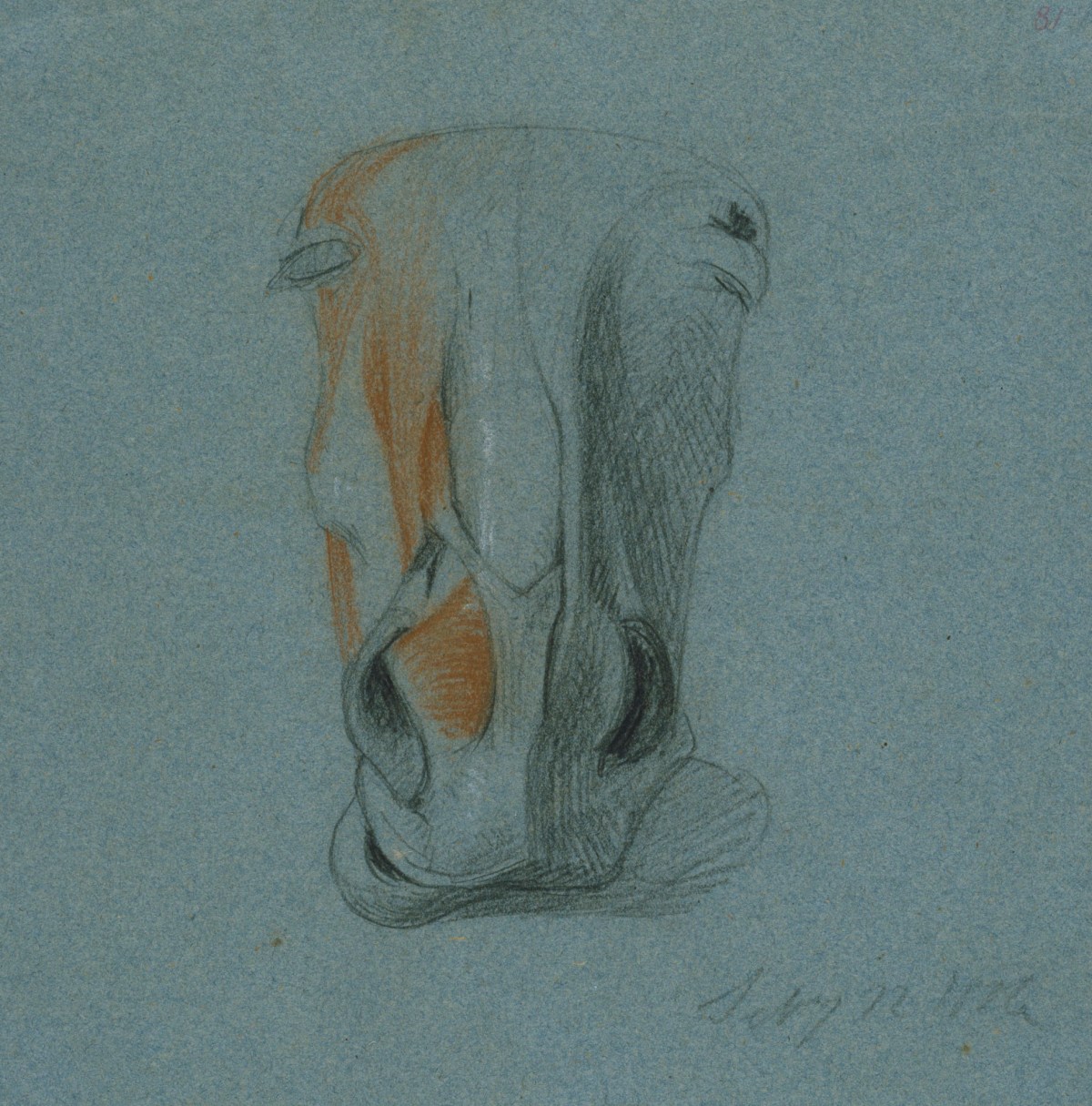 Benjamin Robert Haydon, Anatomical drawing of a horse's skull
