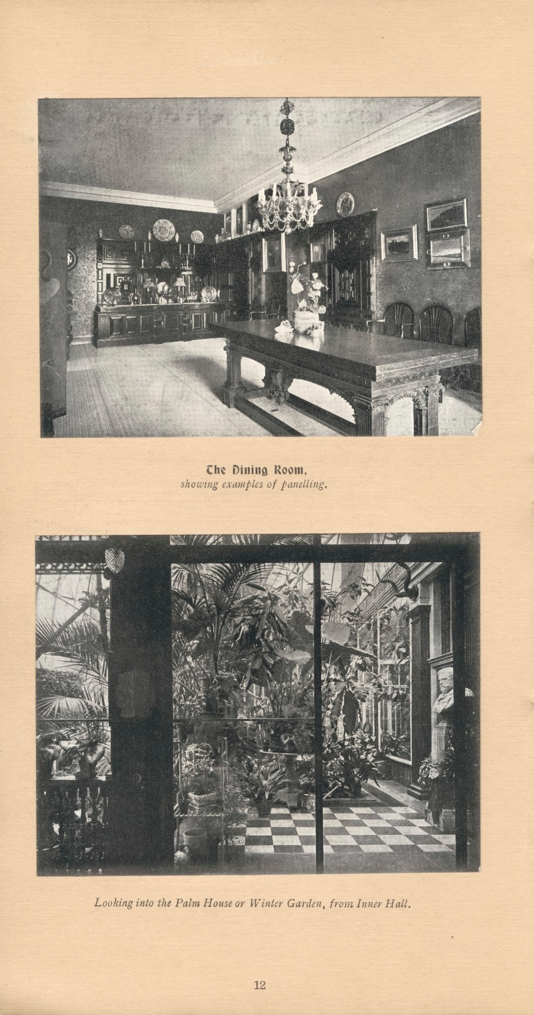 Hampton & Sons (London), Looking into the Palm House.