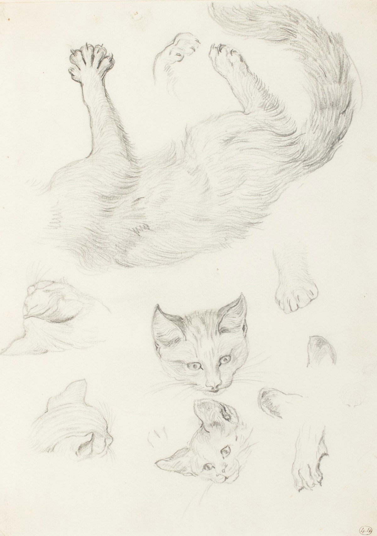 Henry Hugh Armstead RA, Studies of a cat for 'Playmates'