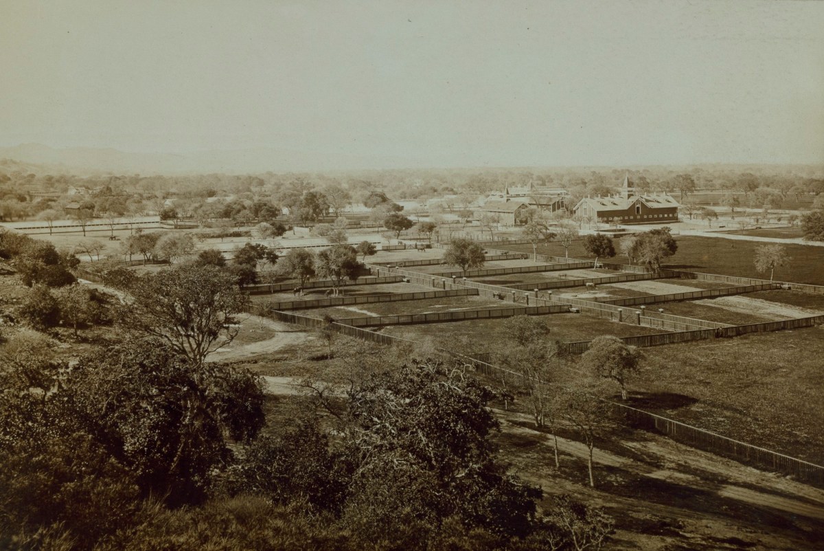Eadweard Muybridge, General view of Palo Alto Stock Ranch.
