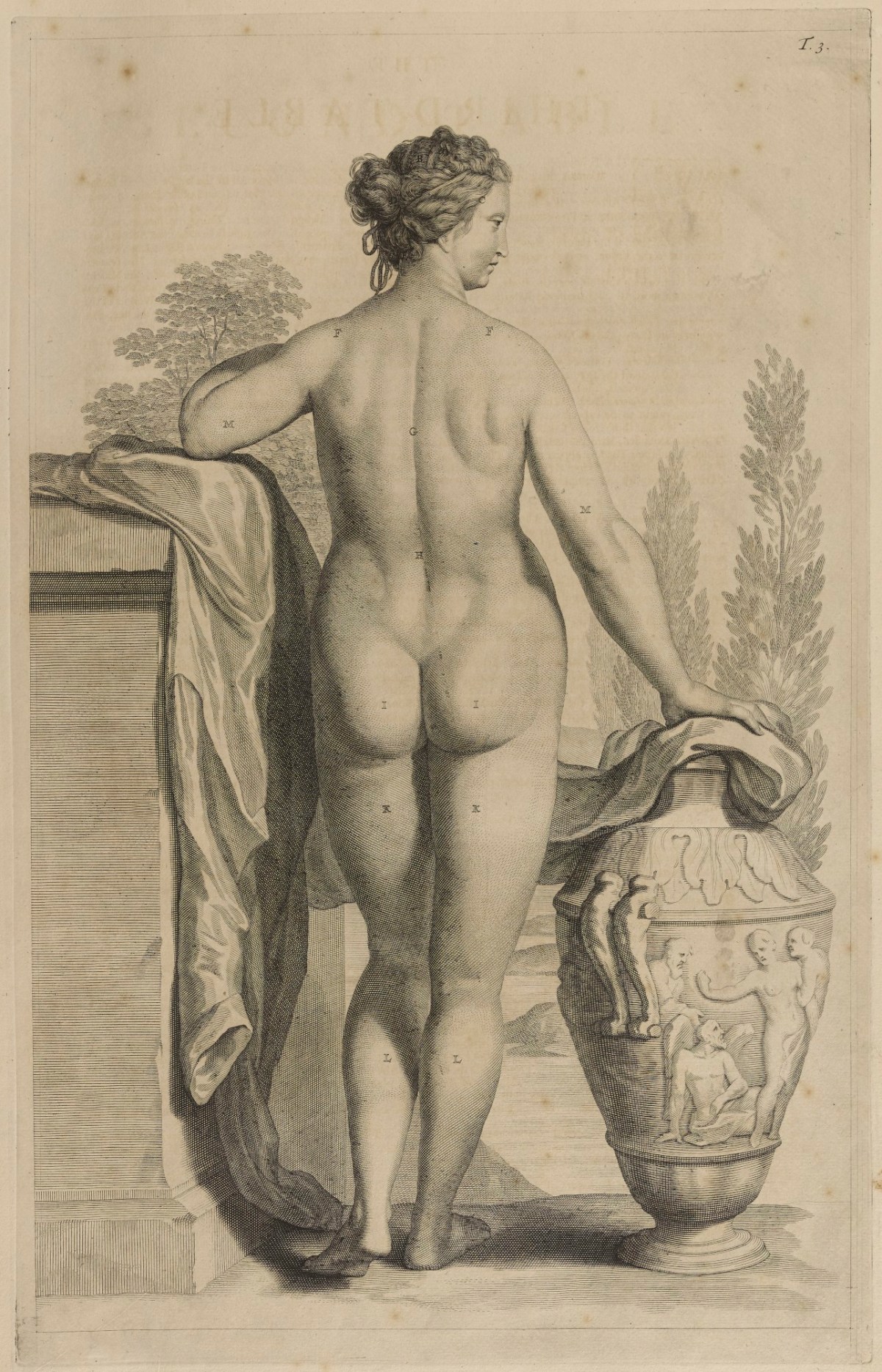 Samuel Smith and Benjamin Walford, Plate 3: The female body (back)