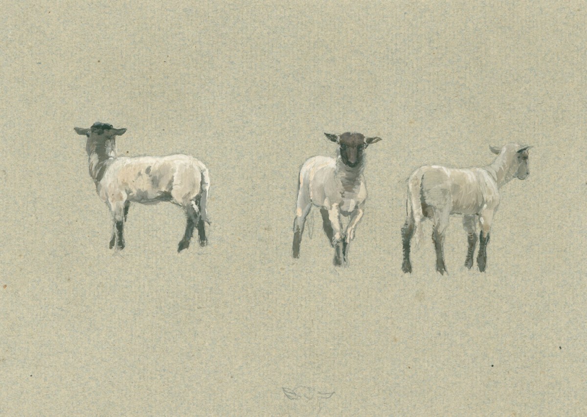 Alfred Parsons RA, Three sheep