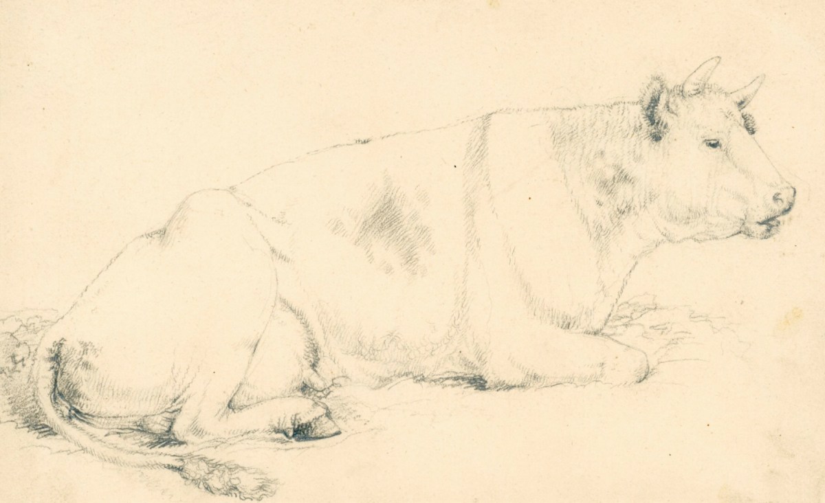 Sir Edwin Landseer RA, A cow lying on the ground, in profile