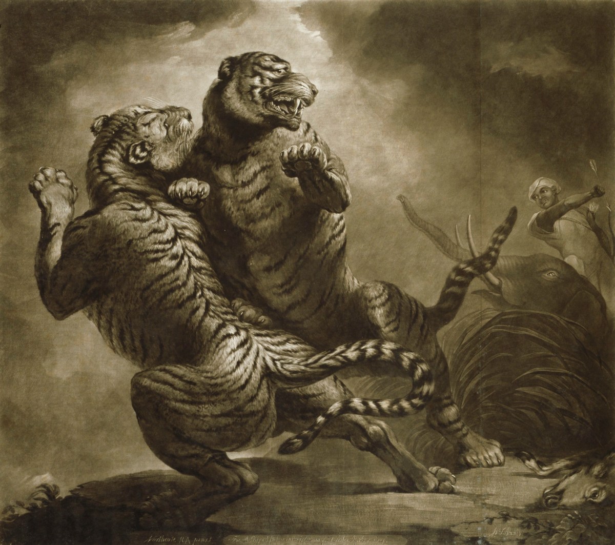James Northcote RA, Tiger Hunting