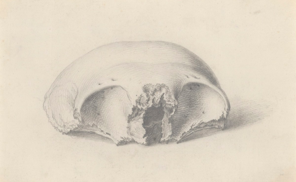 Gerard van der Gucht, The os frontis, part of the skull, for Cheselden's Osteographia
