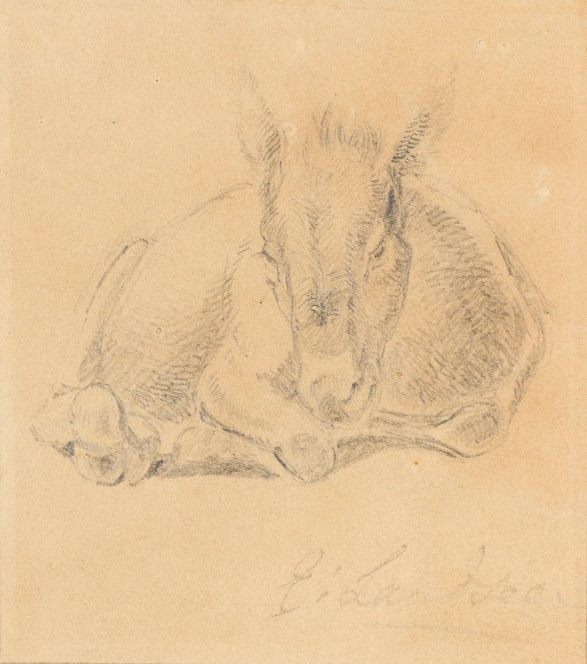 Sir Edwin Landseer RA, A donkey lying down