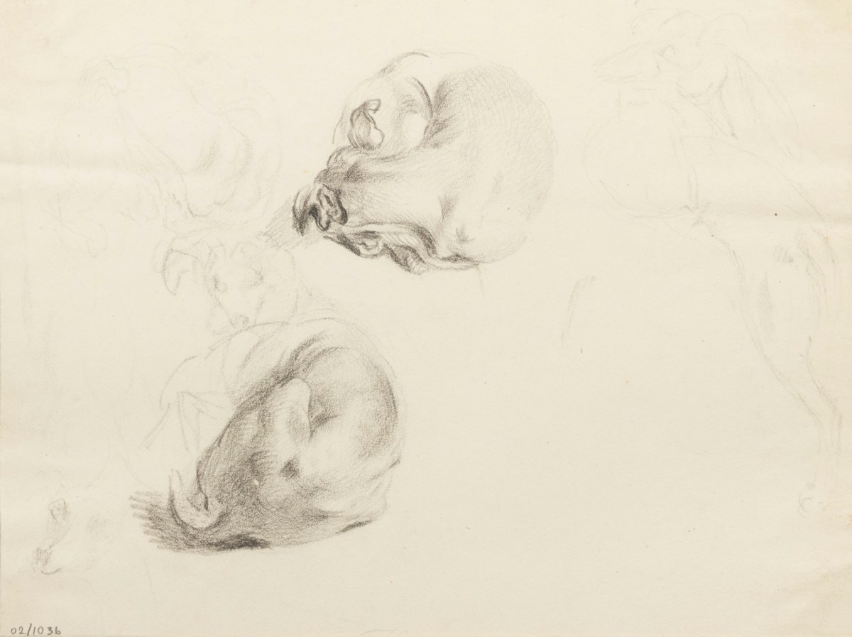 Philip Reinagle RA, Sheet of drawings of a dog