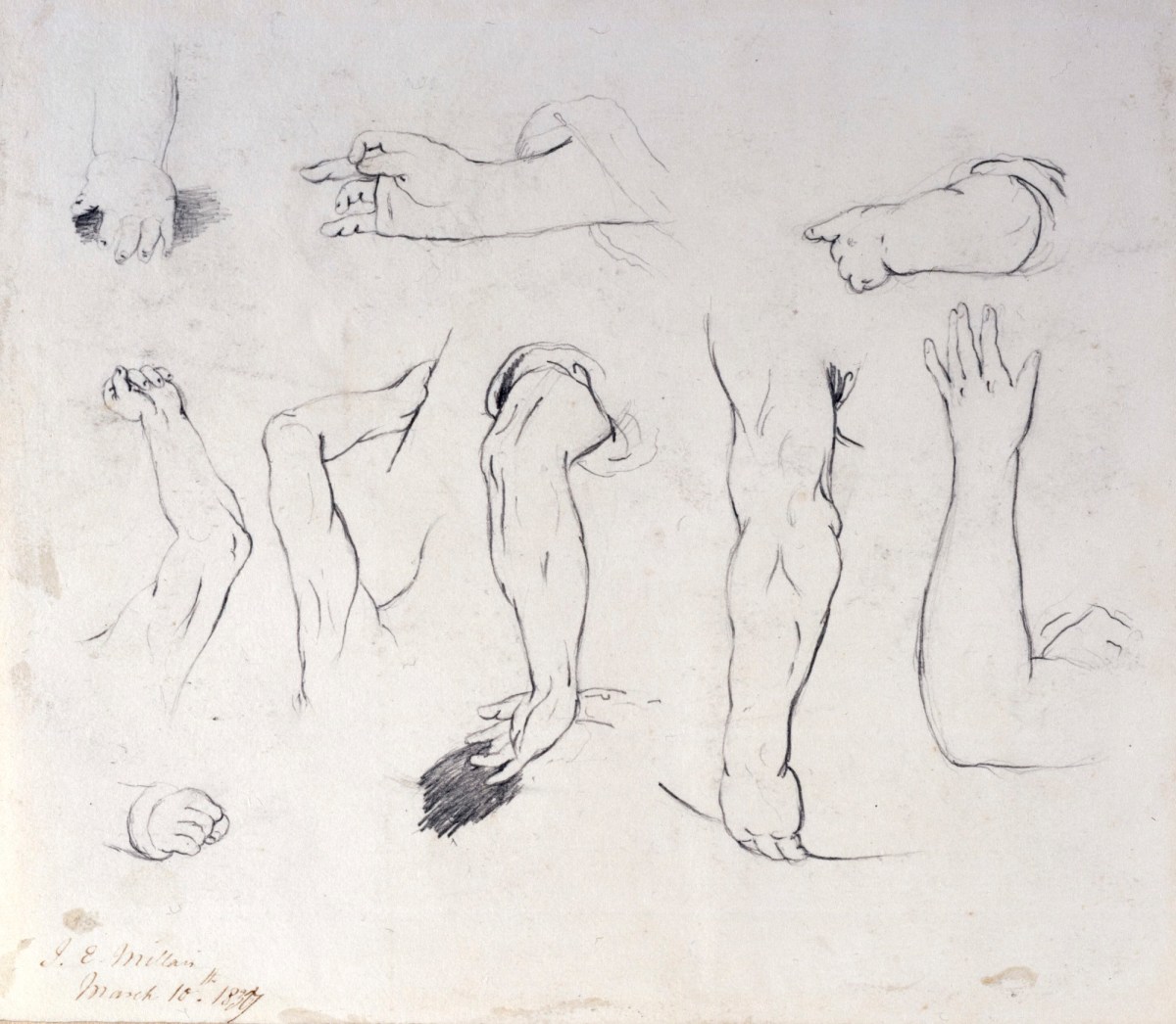 Sir John Everett Millais Bt. PRA, Sheet of studies of arms and hands