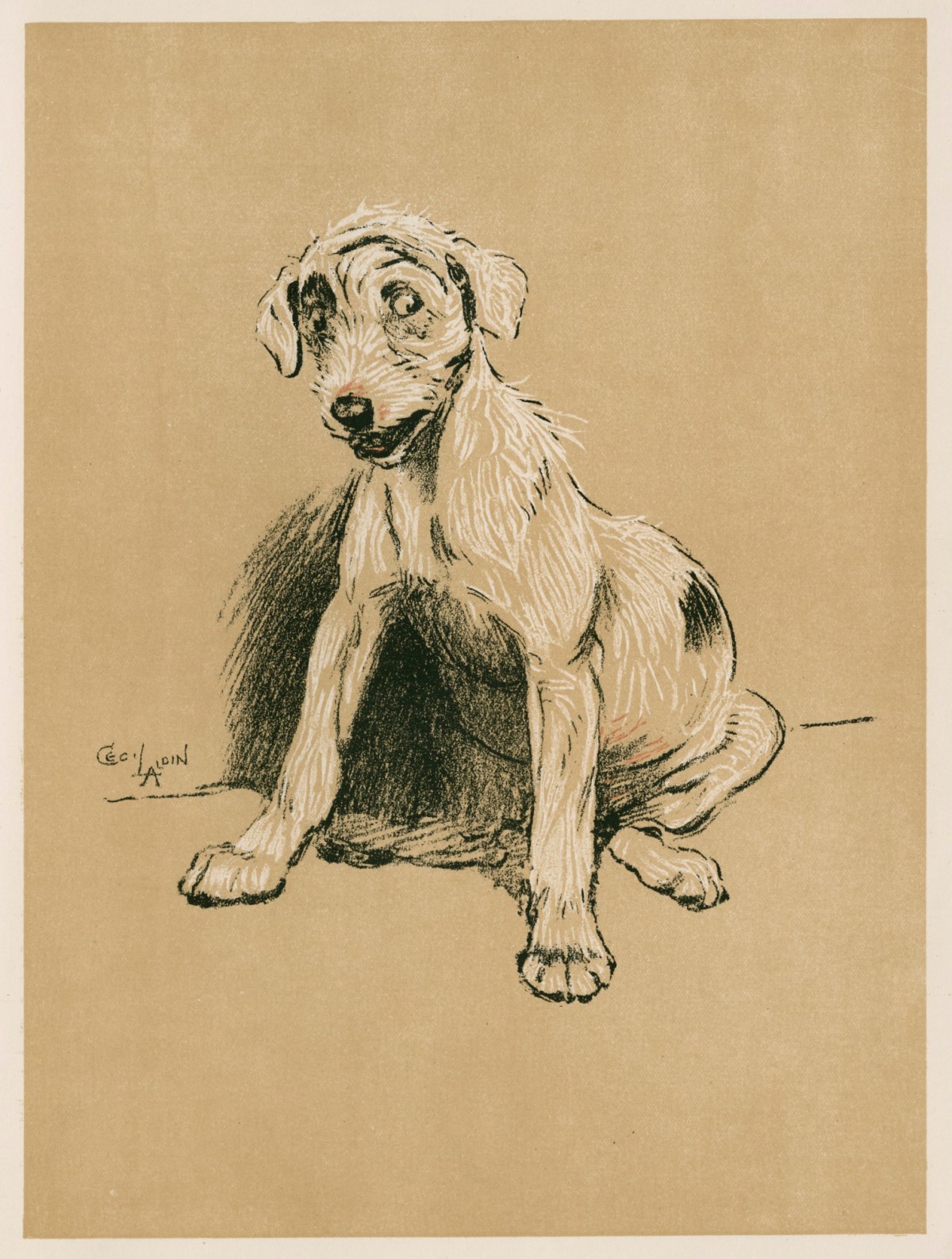 Cecil Aldin, 1.34 pm : 'Pains in my underneath get worse ...'