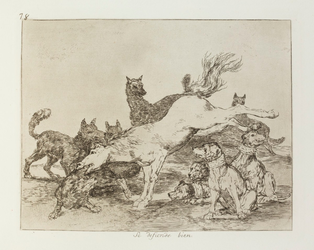 Francisco Goya, 'Se defiende bien.'