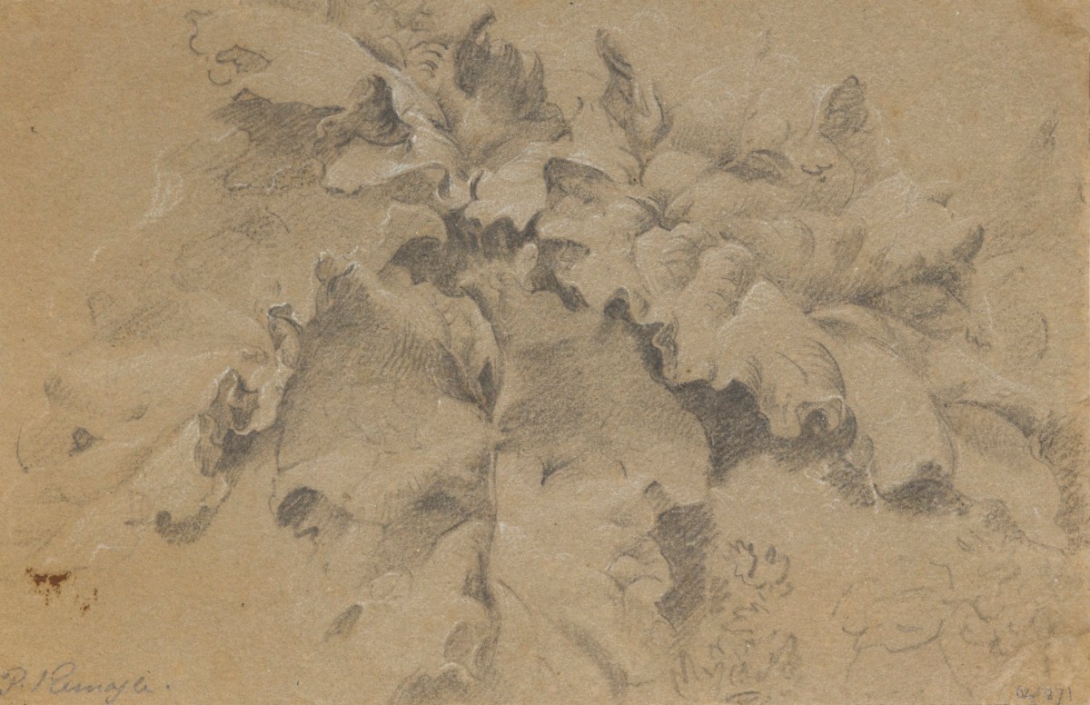 Philip Reinagle RA, Foliage
