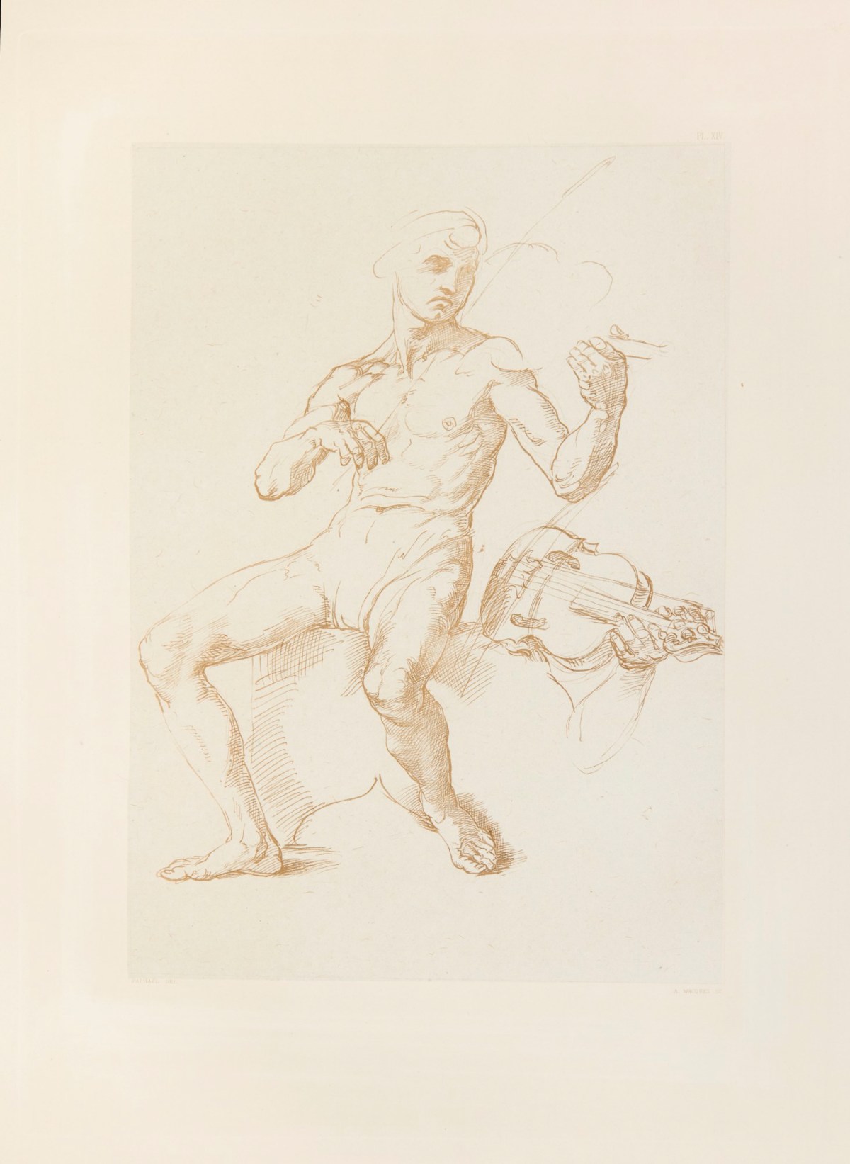 Raphael, Study from life from The Parnassus fresco in the Vatican.