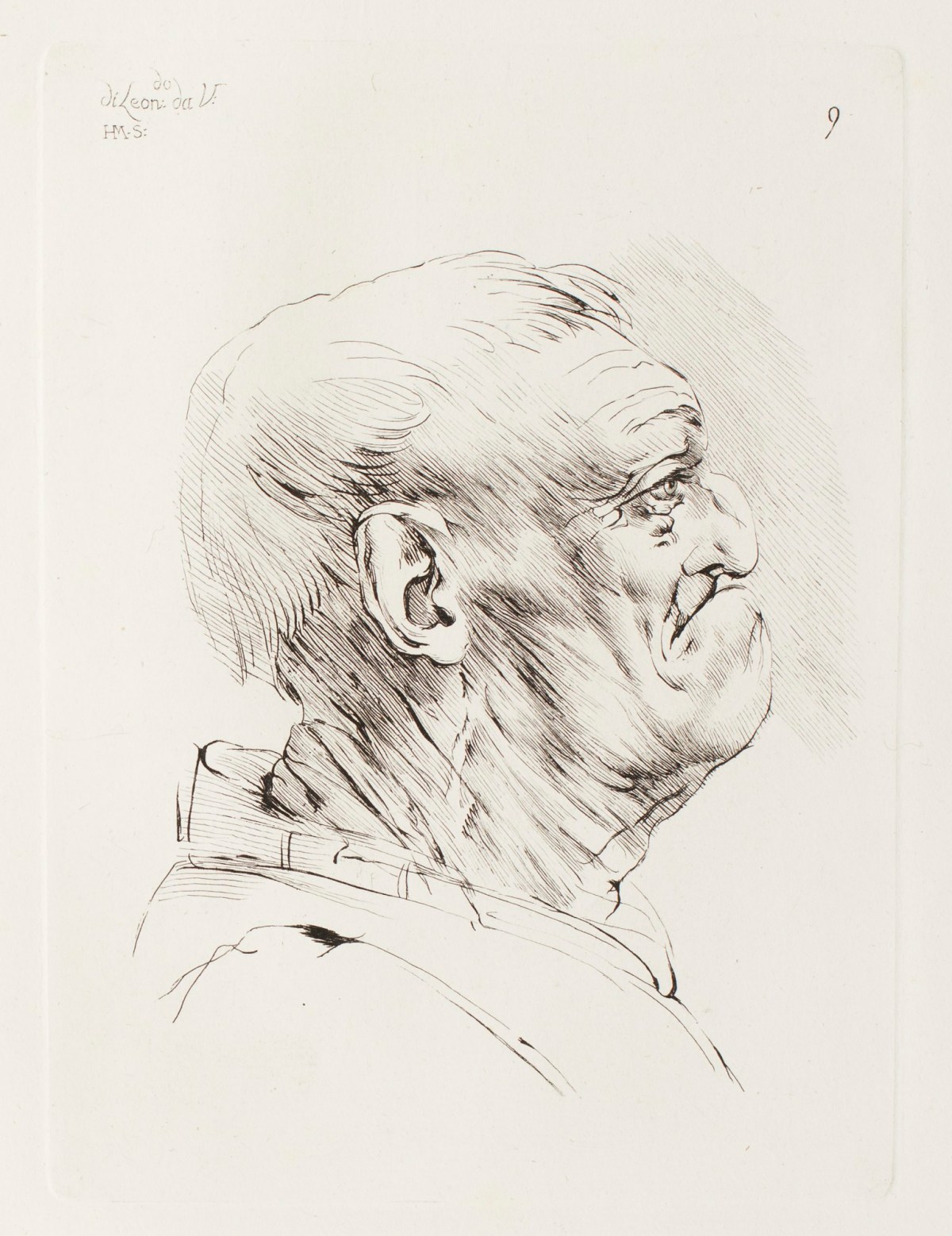 Leonardo da Vinci, Head of a Old Man in Profile Facing to the Right