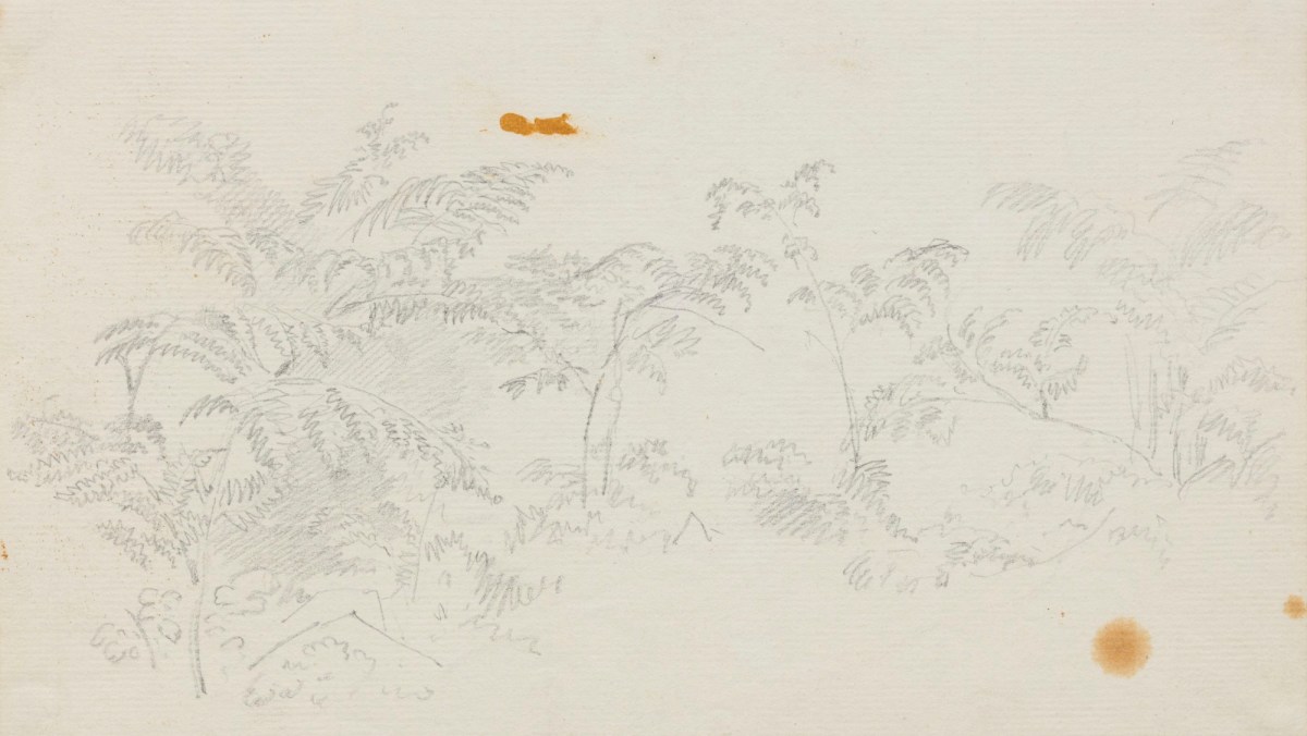 Philip Reinagle RA, Sketch of trees